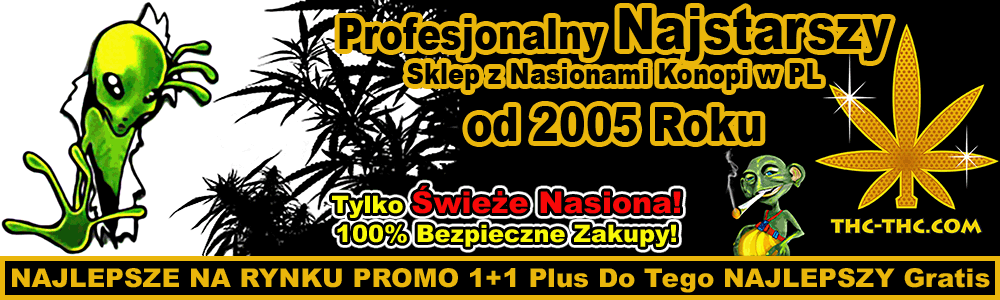 thc-thc.pl